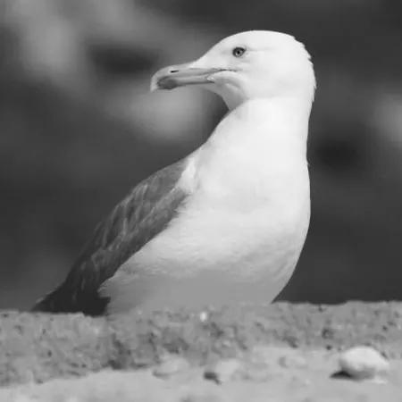 Sofiamarholidays- Casa Brisa Mar Armação de Pêra